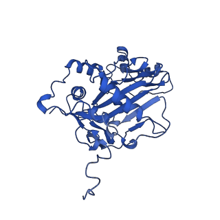 29308_8fnc_14_v1-0
Cryo-EM structure of RNase-treated RESC-C in trypanosomal RNA editing