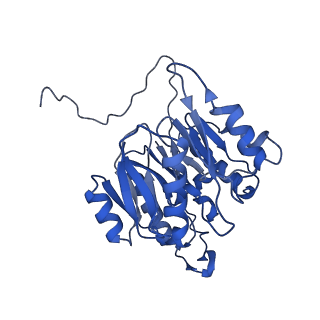 29308_8fnc_5_v1-0
Cryo-EM structure of RNase-treated RESC-C in trypanosomal RNA editing