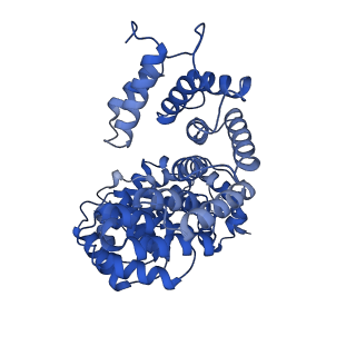 29308_8fnc_6_v1-0
Cryo-EM structure of RNase-treated RESC-C in trypanosomal RNA editing