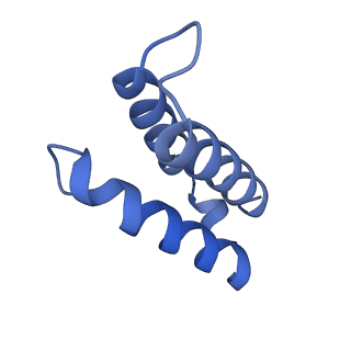 29308_8fnc_7_v1-0
Cryo-EM structure of RNase-treated RESC-C in trypanosomal RNA editing