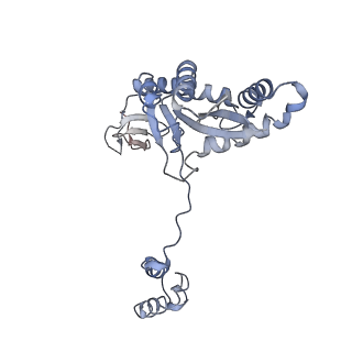 29309_8fnd_A_v1-0
Structure of E138K HIV-1 intasome with Dolutegravir bound