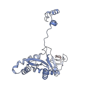 29309_8fnd_G_v1-0
Structure of E138K HIV-1 intasome with Dolutegravir bound
