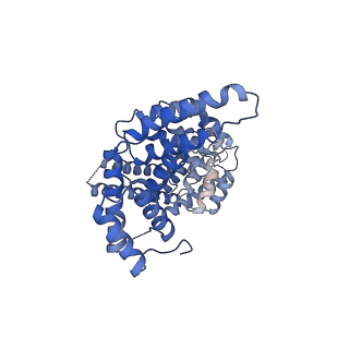 29311_8fnf_10_v1-0
Cryo-EM structure of RNase-untreated RESC-C in trypanosomal RNA editing