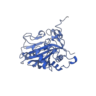 29311_8fnf_14_v1-0
Cryo-EM structure of RNase-untreated RESC-C in trypanosomal RNA editing