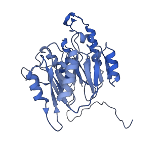 29311_8fnf_5_v1-0
Cryo-EM structure of RNase-untreated RESC-C in trypanosomal RNA editing