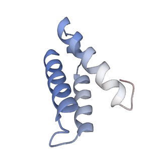 29311_8fnf_7_v1-0
Cryo-EM structure of RNase-untreated RESC-C in trypanosomal RNA editing