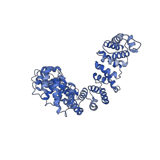 29311_8fnf_8_v1-0
Cryo-EM structure of RNase-untreated RESC-C in trypanosomal RNA editing