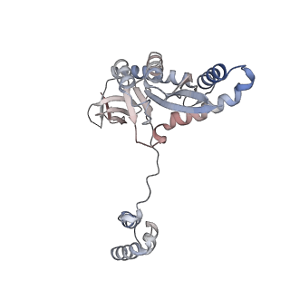 29313_8fnh_A_v1-0
Structure of Q148K HIV-1 intasome with Dolutegravir bound