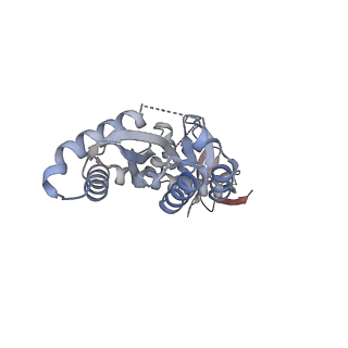 29313_8fnh_B_v1-0
Structure of Q148K HIV-1 intasome with Dolutegravir bound