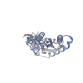 29313_8fnh_H_v1-0
Structure of Q148K HIV-1 intasome with Dolutegravir bound