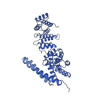 29314_8fni_10_v1-0
Cryo-EM structure of RNase-treated RESC-B in trypanosomal RNA editing