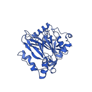 29314_8fni_14_v1-0
Cryo-EM structure of RNase-treated RESC-B in trypanosomal RNA editing