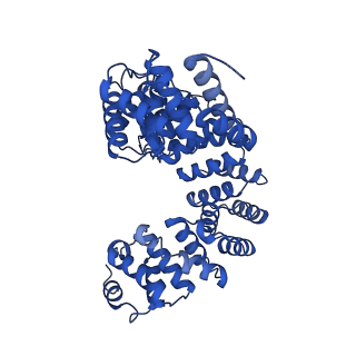 29314_8fni_6_v1-0
Cryo-EM structure of RNase-treated RESC-B in trypanosomal RNA editing