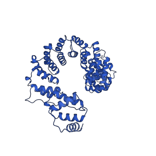 29314_8fni_8_v1-0
Cryo-EM structure of RNase-treated RESC-B in trypanosomal RNA editing