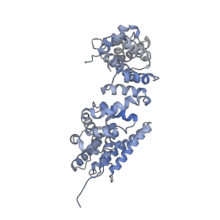 29316_8fnk_10_v1-0
Cryo-EM structure of RNase-untreated RESC-B in trypanosomal RNA editing