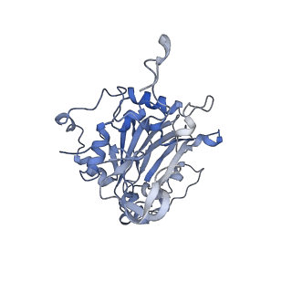29316_8fnk_14_v1-0
Cryo-EM structure of RNase-untreated RESC-B in trypanosomal RNA editing