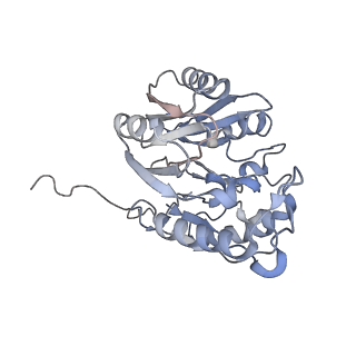 29316_8fnk_5_v1-0
Cryo-EM structure of RNase-untreated RESC-B in trypanosomal RNA editing