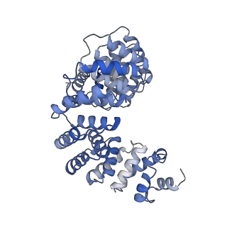 29316_8fnk_6_v1-0
Cryo-EM structure of RNase-untreated RESC-B in trypanosomal RNA editing