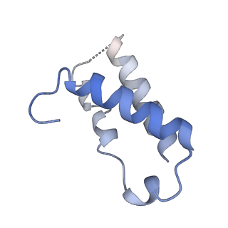 29316_8fnk_7_v1-0
Cryo-EM structure of RNase-untreated RESC-B in trypanosomal RNA editing