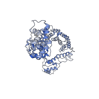 29316_8fnk_8_v1-0
Cryo-EM structure of RNase-untreated RESC-B in trypanosomal RNA editing
