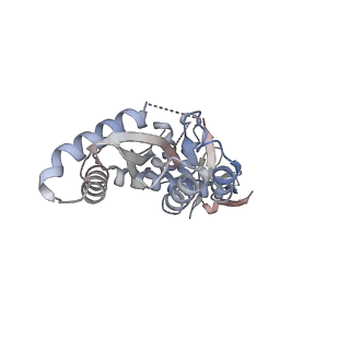 29317_8fnl_B_v1-0
Structure of E138K/Q148K HIV-1 intasome with Dolutegravir bound