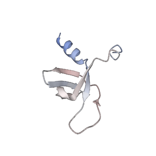 29317_8fnl_C_v1-0
Structure of E138K/Q148K HIV-1 intasome with Dolutegravir bound