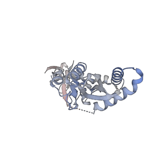 29317_8fnl_H_v1-0
Structure of E138K/Q148K HIV-1 intasome with Dolutegravir bound