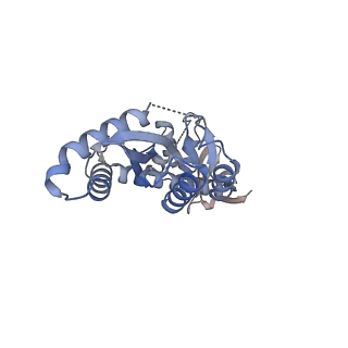 29318_8fnm_B_v1-0
Structure of G140A/Q148K HIV-1 intasome with Dolutegravir bound