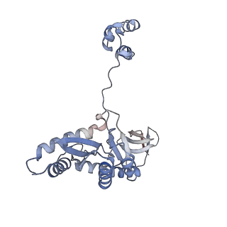 29318_8fnm_G_v1-0
Structure of G140A/Q148K HIV-1 intasome with Dolutegravir bound