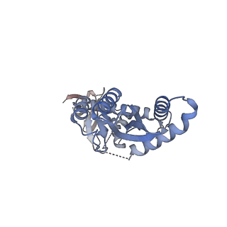 29318_8fnm_H_v1-0
Structure of G140A/Q148K HIV-1 intasome with Dolutegravir bound