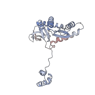 29319_8fnn_A_v1-0
Structure of E138K/G140A/Q148K HIV-1 intasome with Dolutegravir bound