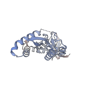 29319_8fnn_B_v1-0
Structure of E138K/G140A/Q148K HIV-1 intasome with Dolutegravir bound