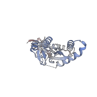 29319_8fnn_H_v1-0
Structure of E138K/G140A/Q148K HIV-1 intasome with Dolutegravir bound