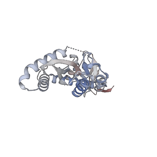 29320_8fno_B_v1-1
Structure of E138K/G140A/Q148R HIV-1 intasome with Dolutegravir bound