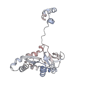 29320_8fno_G_v1-1
Structure of E138K/G140A/Q148R HIV-1 intasome with Dolutegravir bound