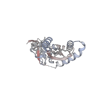 29320_8fno_H_v1-1
Structure of E138K/G140A/Q148R HIV-1 intasome with Dolutegravir bound