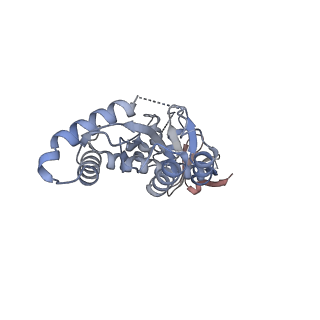 29322_8fnq_B_v1-0
Structure of E138K/G140A/Q148K HIV-1 intasome with 4d bound