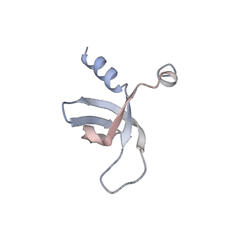 29322_8fnq_C_v1-0
Structure of E138K/G140A/Q148K HIV-1 intasome with 4d bound