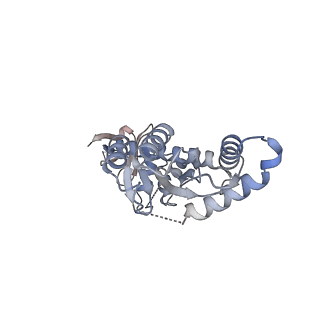 29322_8fnq_H_v1-0
Structure of E138K/G140A/Q148K HIV-1 intasome with 4d bound