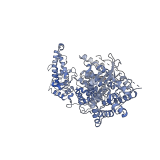 29323_8fnt_A_v1-2
Structure of RdrA from Escherichia coli RADAR defense system