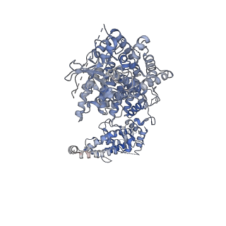 29323_8fnt_C_v1-2
Structure of RdrA from Escherichia coli RADAR defense system