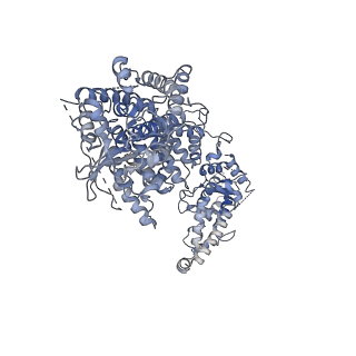 29323_8fnt_D_v1-2
Structure of RdrA from Escherichia coli RADAR defense system