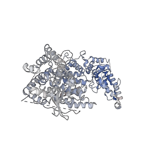 29323_8fnt_E_v1-2
Structure of RdrA from Escherichia coli RADAR defense system