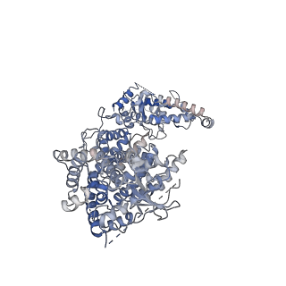 29323_8fnt_F_v1-2
Structure of RdrA from Escherichia coli RADAR defense system