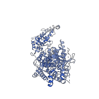 29323_8fnt_G_v1-2
Structure of RdrA from Escherichia coli RADAR defense system