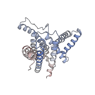 3237_5fn2_B_v1-2
Cryo-EM structure of gamma secretase in complex with a drug DAPT