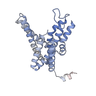 3237_5fn2_C_v1-2
Cryo-EM structure of gamma secretase in complex with a drug DAPT