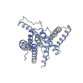 3238_5fn3_B_v1-2
Cryo-EM structure of gamma secretase in class 1 of the apo- state ensemble