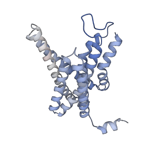 3238_5fn3_C_v1-2
Cryo-EM structure of gamma secretase in class 1 of the apo- state ensemble