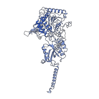 3239_5fn4_A_v1-1
Cryo-EM structure of gamma secretase in class 2 of the apo- state ensemble